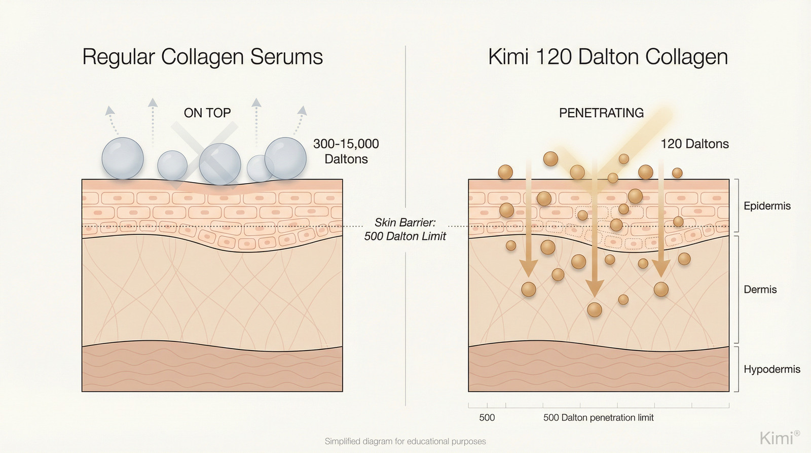 Why Your $89 Serum Isn't Working